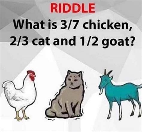 what is 3/7 chicken 2/3cat and 2/4 goat|What is 3/7 chicken 2/3 cat 2/4 goat riddle .